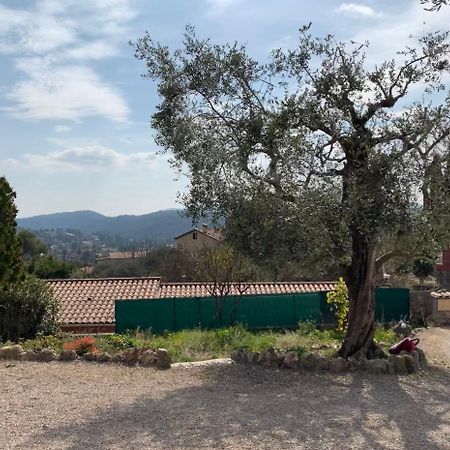 Rez De Villa Peymeinade Екстериор снимка